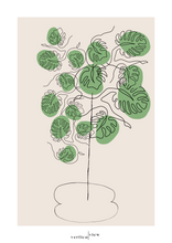 Indlæs billede til gallerivisning Monstera plakat
